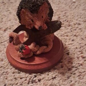 Adorable Hedgehog with Apple and Rope Toy